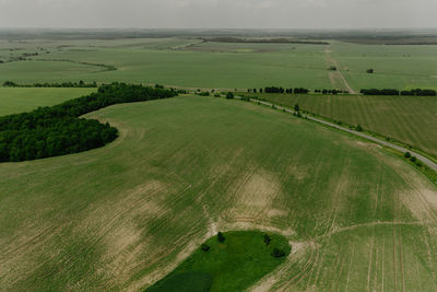 Scenic view of agricultural field