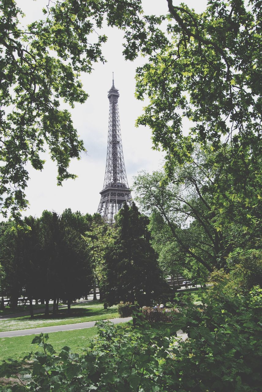 tree, eiffel tower, tall - high, low angle view, tower, built structure, architecture, travel destinations, metal, famous place, growth, international landmark, sky, tourism, culture, tall, travel, day, capital cities, outdoors