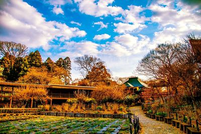 Trees by building against sky