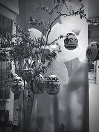 Flowers in the dark