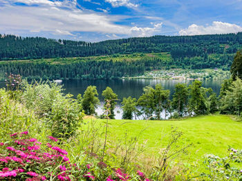 Scenic view of lake and trees against sky