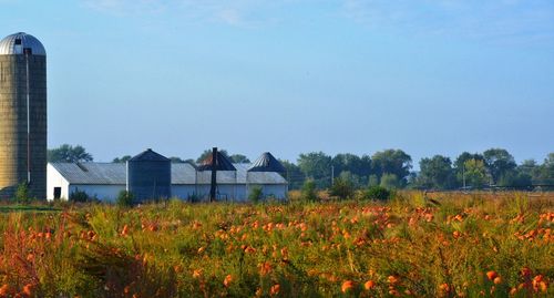 Barn on field by buildings against sky