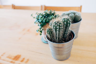 High angle view of potted plant on table