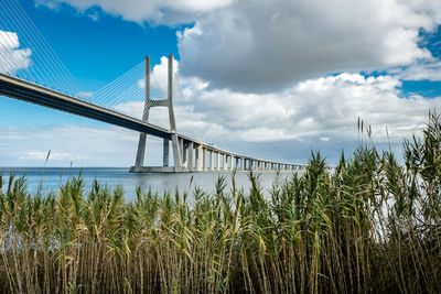 Low angle view of bridge against sky