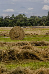 Hay bales on field against sky