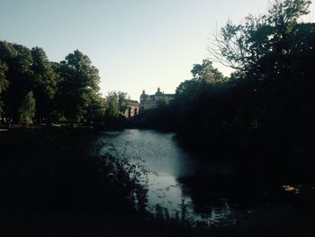 Reflection of trees in river