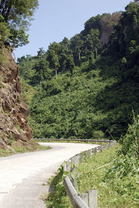 Road amidst trees in forest against clear sky