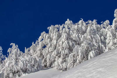 Mountains covered in snow