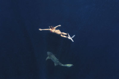 Woman swimming with shark in deep blue sea