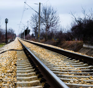 Railway tracks by bare trees against sky