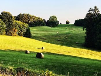 Hay bales on field against sky