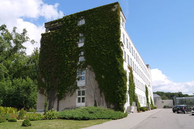 Low angle view of road along buildings