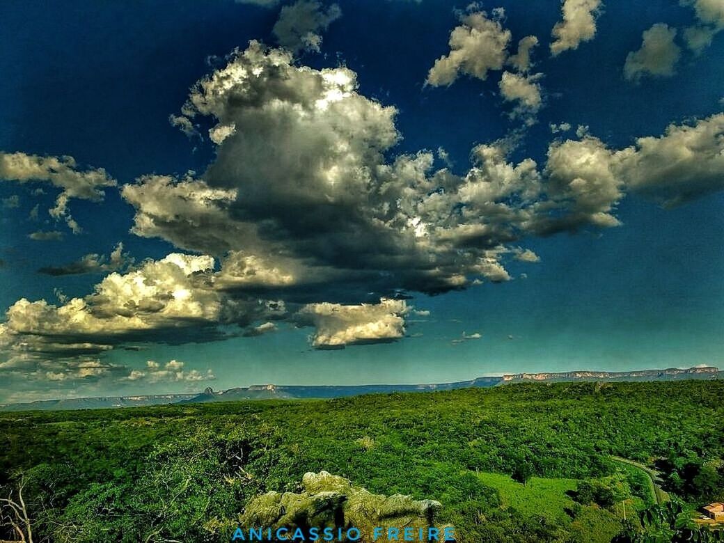 nature, beauty in nature, scenics, sky, landscape, tranquil scene, tranquility, field, growth, idyllic, cloud - sky, day, blue, outdoors, no people, green color, rural scene, agriculture, tree