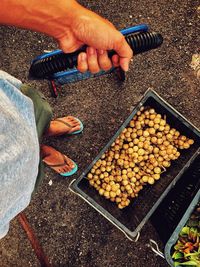High angle view of man preparing food