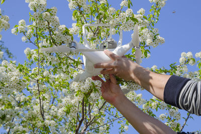 Cropped image of hand holding drone by flower plant against sky