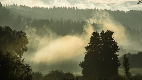 Panoramic view of waterfall in forest against sky