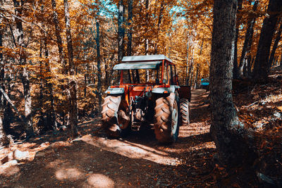 Garbage amidst trees in forest during autumn