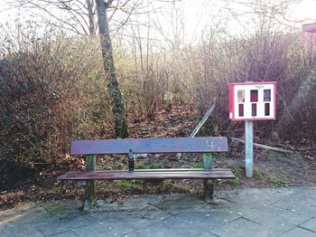 Empty benches in the dark