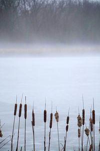 Panoramic view of lake against sky