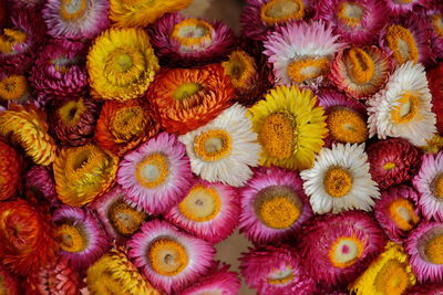 Full frame shot of multi colored flowers in market