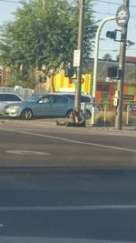 Car on road