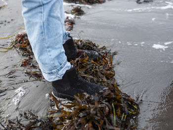 Person standing on seaweeds