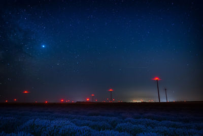 Scenic view of plants with illuminated lights against sky at night