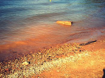 Scenic view of beach