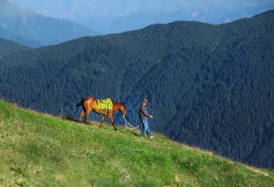 Man walking with horse on mountain