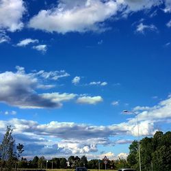 Low angle view of trees against blue sky