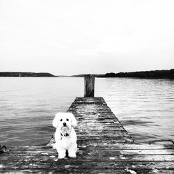 Wooden pier in sea