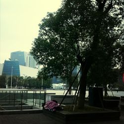 View of flowers and trees in foreground