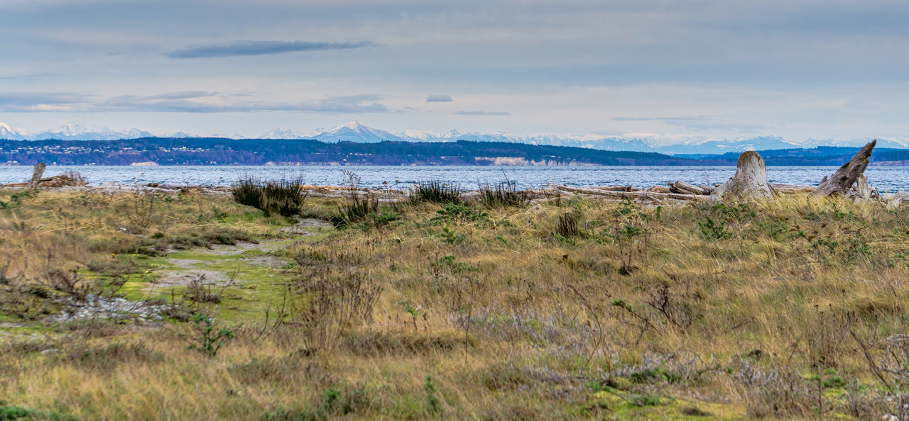 SCENIC VIEW OF SEA SHORE AGAINST SKY