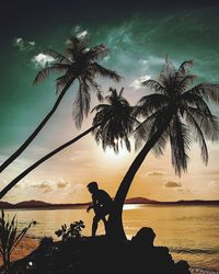 Silhouette palm tree by sea against sky during sunset