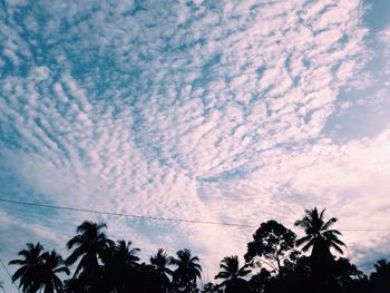 Low angle view of palm trees against cloudy sky