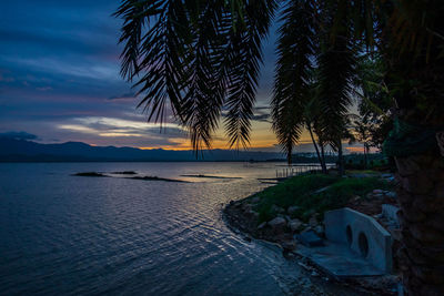 Palm trees by sea against sky during sunset