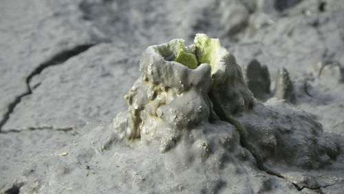 Close-up of sand on beach