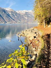 Scenic view of lake against mountains