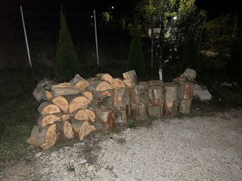 tree