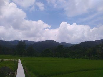 Scenic view of landscape against cloudy sky