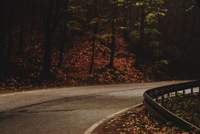 Road amidst trees in forest