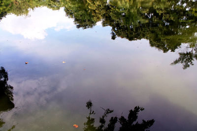 Reflection of trees in lake against sky