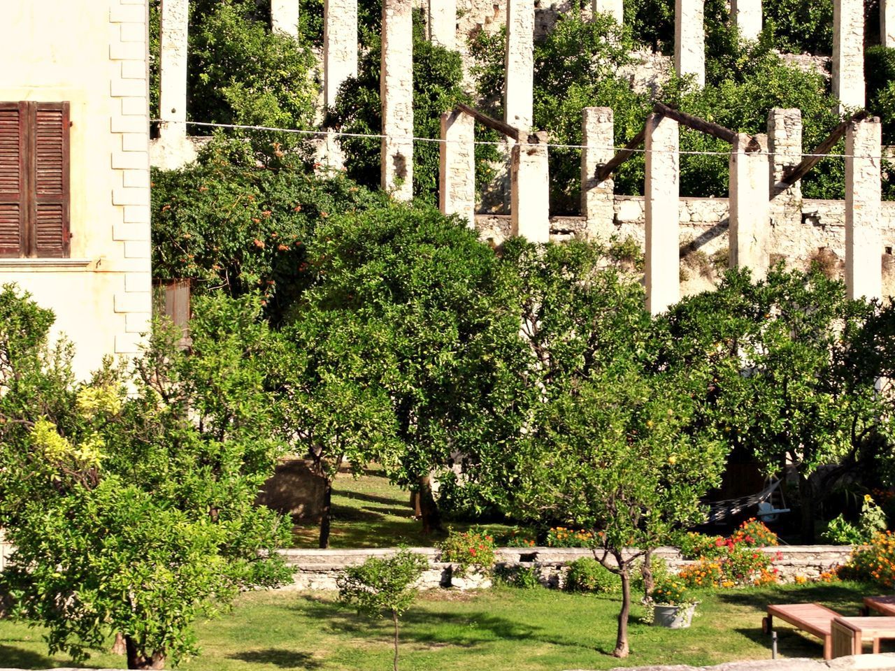 VIEW OF A GARDEN WITH TREES IN BACKGROUND