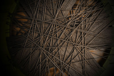 High angle view of dry plant