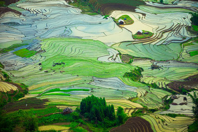 Aerial view of agricultural landscape