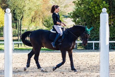 Full length of young woman riding horse on sand by trees