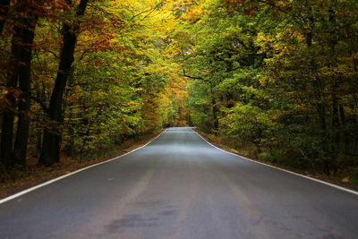 Road amidst trees in forest during autumn