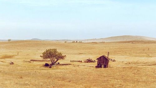 Scenic view of landscape