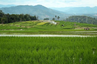 Scenic view of field against mountains