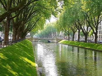 Scenic view of river in park